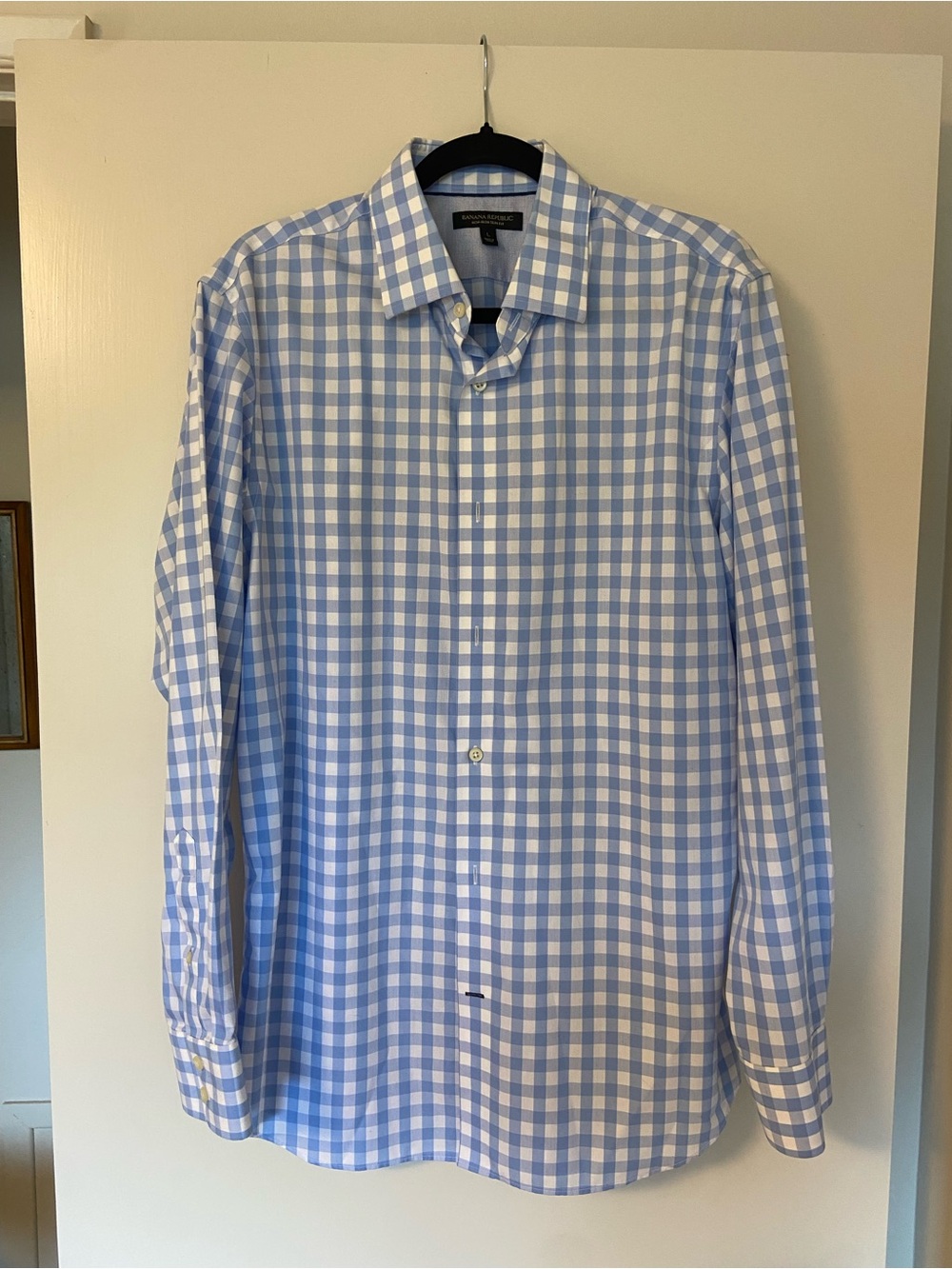 Banana Republic Blue and White Gingham Dress Shirt